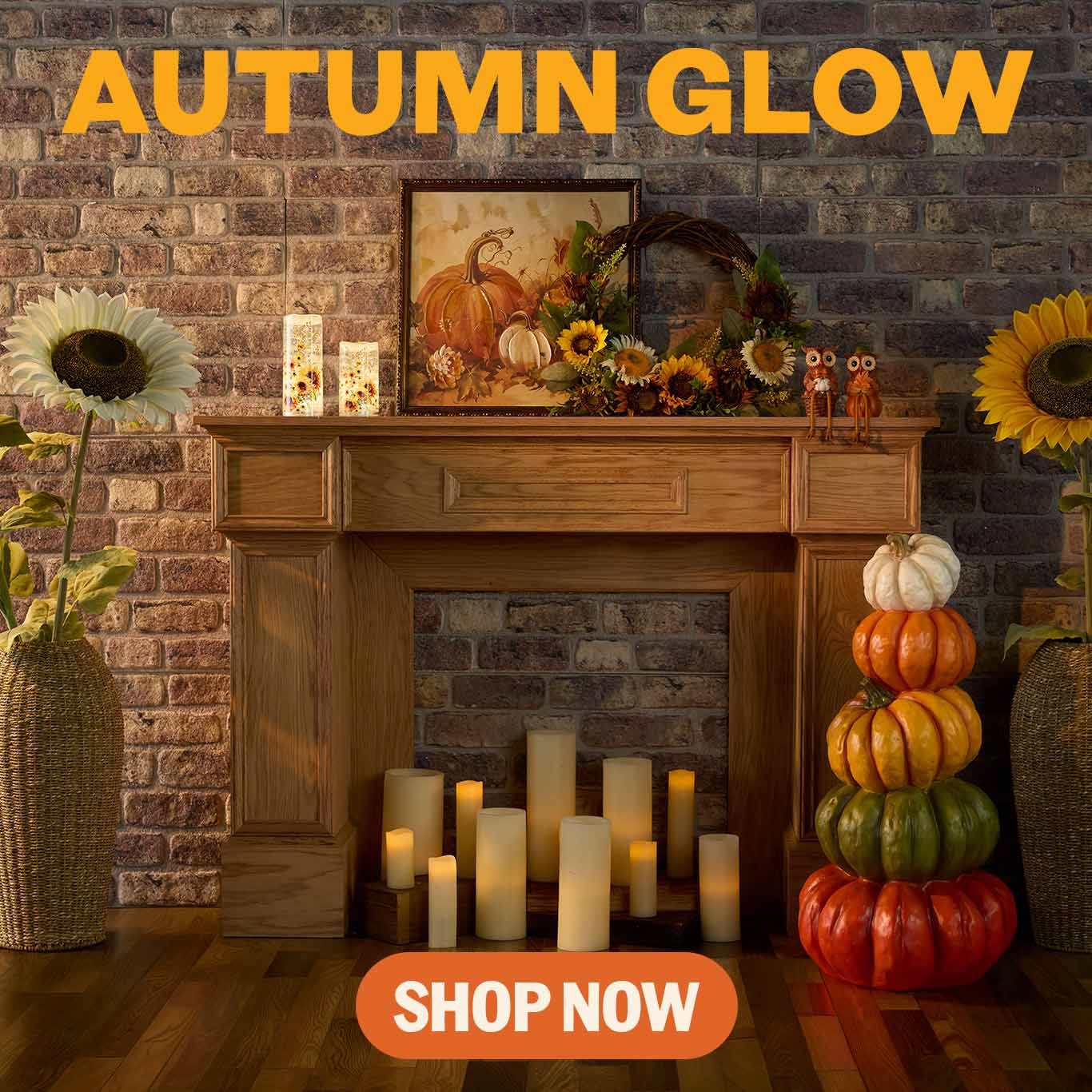 Shop Harvest Collection